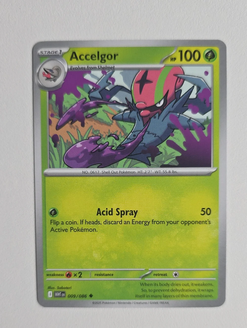 Pokemon Shelmot, Accelgor, Karranlast, And Escavalier Cards